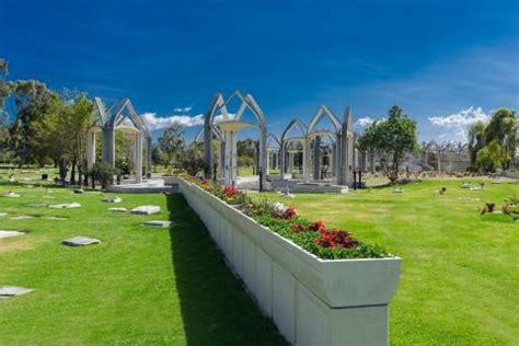 El Jardín de la Eternidad! Renkli bir Rüya Dünyasına Açılan Pencere!